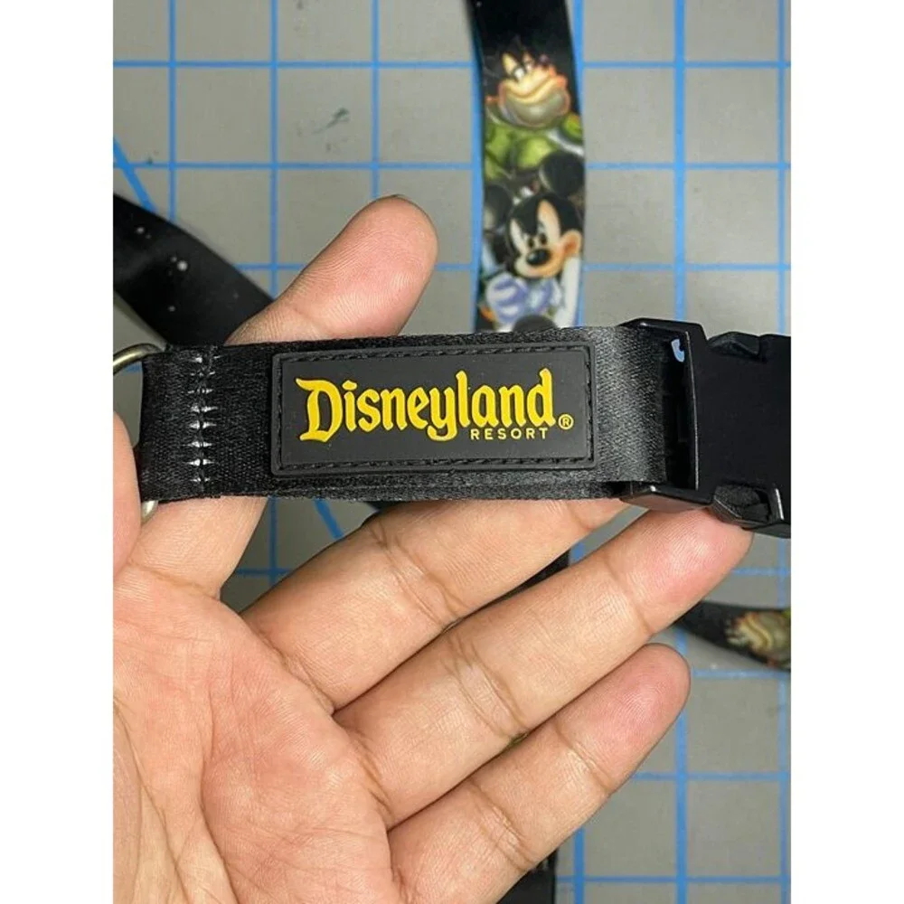 Star Wars disneyland star